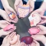 trasplante de órganos: dilema moral y ético