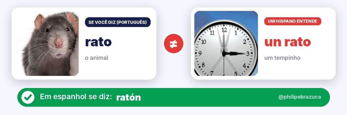 Falso cognato em espanhol: rato (o animal) x un rato, que em espanhol é um tempinho. Diga ratón
